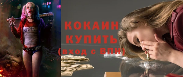 стафф Алексин